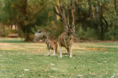 Unveiling Australia's Northern Territory: An Epic Journey from the Tropical Top End to the Ancient Red Centre